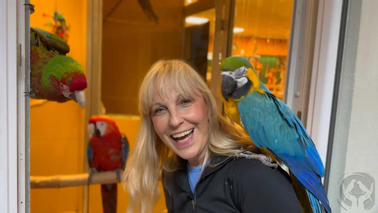 VIDEO: Heike gründet Tierheim Papageien-Notresidenz e.V.
